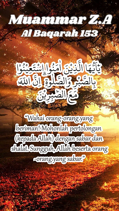 Muammar Z.A - Al-Baqarah 153 #murottal #fypシ #shortsvideo
