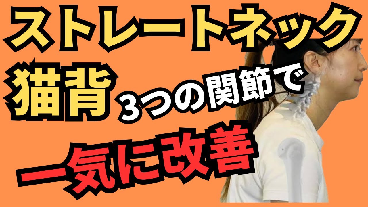 【驚きの真実】猫背とストレートネックは“関節のズレ”が原因だった！【千葉県習志野市めぐわ整体院　牧野恵和】