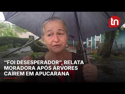 “Foi desesperador”, relata moradora após árvores caírem durante temporal