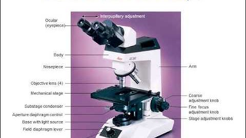 BI280 Chapter 3 Tools of Microbiology - Part 1 of 2