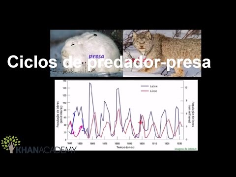 Ciclos de predador-presa | Ecologia | Biologia | Khan Academy