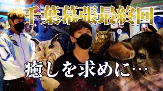 癒しを求めに幕張へ…千葉幕張ぶらり旅最終回【河北裕介】