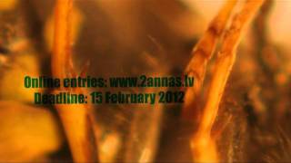 2ANNAS Call for Entries 2012