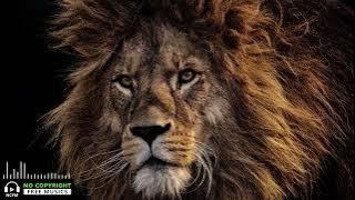 🔥🦁🔥KGF THEME SONG/KGF BGM FT POWERFUL PEOPLE MAKE PLACES POWERFUL ROCKY(8D🎧)[@nocopyrightfreemusics]