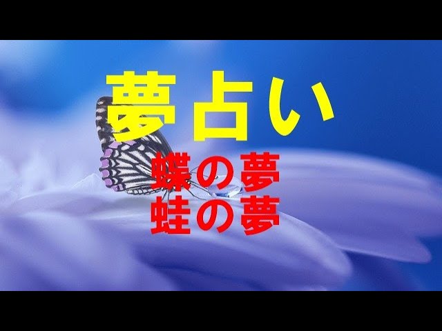 夢占い 蝶の夢 蛙の夢 夢診断 アニメ版 開運の絶対法則 東洋の聖人 夢占い 蝶の夢 蛙の夢 夢診断 アニメ版 開運の絶対法則 東洋の聖人