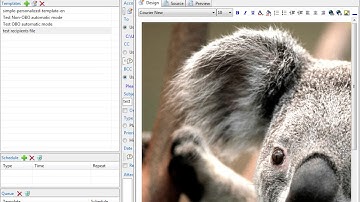 Auto Mail Sender™ Standard Edition - 3. Other Important Things