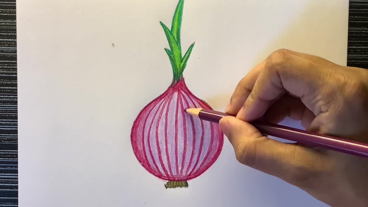 Red Onion Drawing. Downloadable Wall Art. Red Onion Sketch. Vegetable  Drawing. Downloadable Print. Colour Pencil Drawing Still Life Drawings -  Etsy Denmark