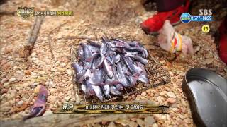 정글의법칙 131115(다시보기) #37(9)