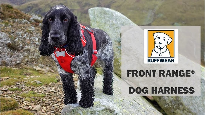 Ruffwear Harnais Front Range M