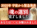【※超重要】先ほど魂の選別が完了しました。今すぐあなたの分類をご確認ください【プレアデスからのメッセージ】