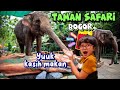 Hanum Kasih Makan Binatang - TAMAN SAFARI BOGOR INDONESIA ❤ Hanum Diary