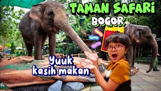 Hanum Kasih Makan Binatang - TAMAN SAFARI BOGOR INDONESIA ❤ Hanum Diary