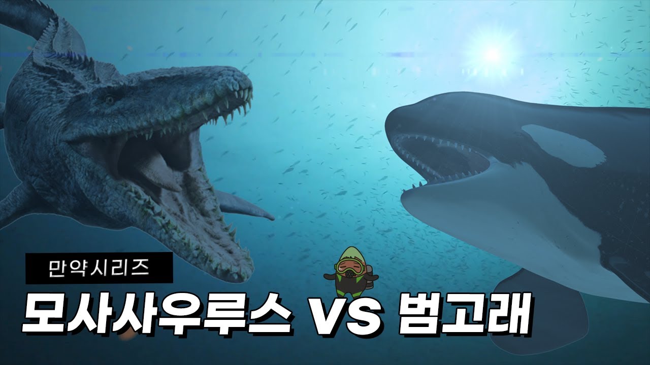 ⁣? 만약 모사사우루스와 범고래가 싸운다면 누가 현시대 최상위 포식자가 되었을까? (feat. 천운)