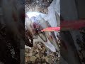 ​👑 La reine des courants forts et de l'eau trouble (Incroyable résultat client !) 🦑