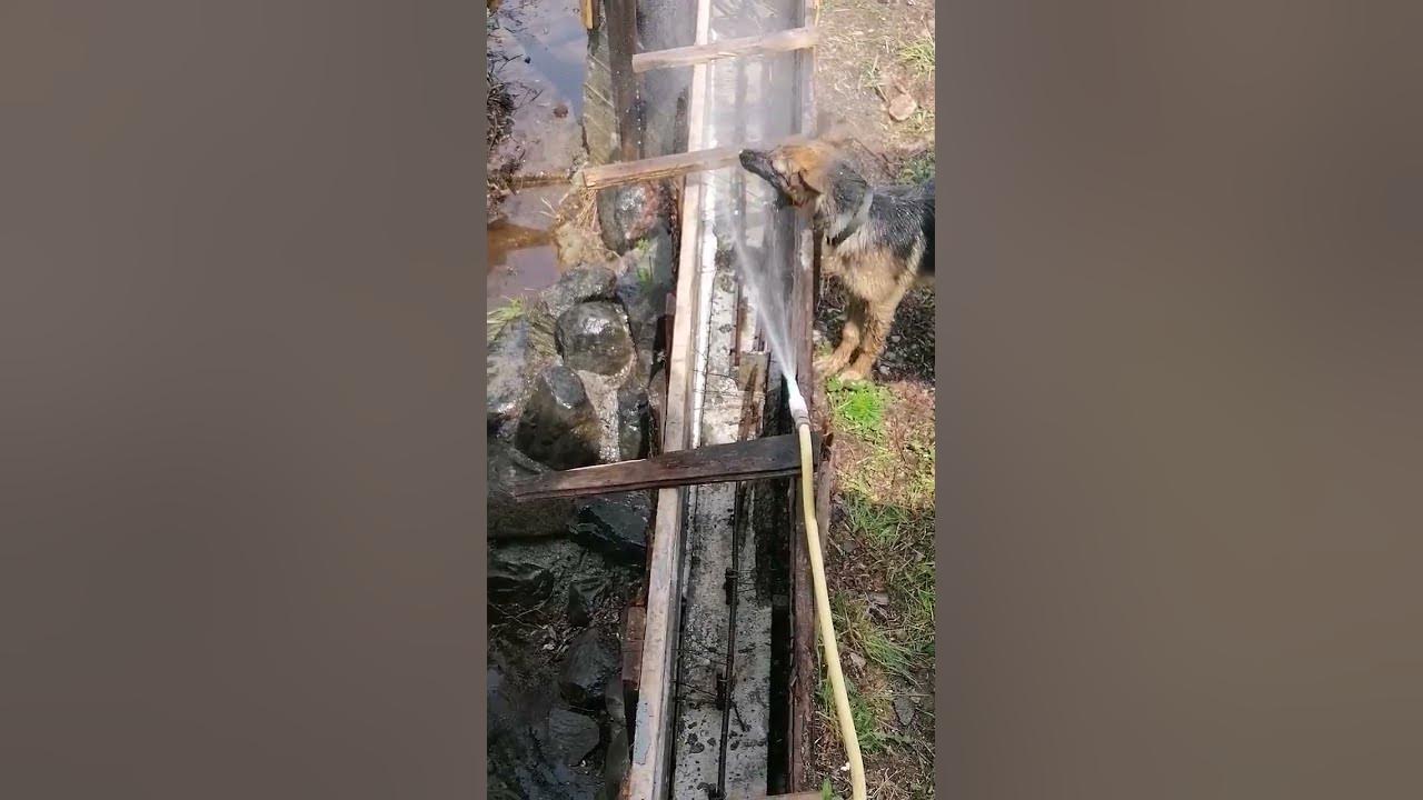 пьём воду - YouTube