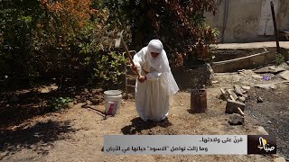 قرنٌ على ولادتها.. وما زالت تواصل "الاسود" حياتها في الأرض