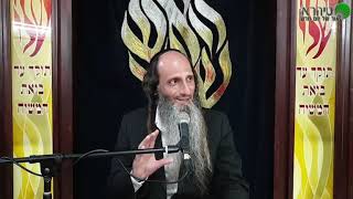 הרב מאור קריו   האבן הכי יקרה