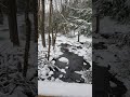 Wilder Brook and the beaver pond in winter.