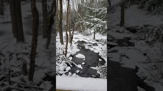 Wilder Brook and the beaver pond in winter.