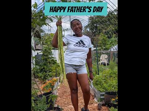 Happy Father's Day to all you awesome dads! Enjoy your day!