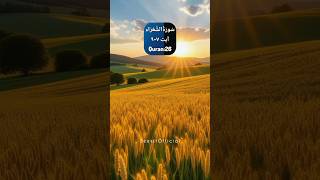 Surah Ash-Shuara 7-9 | #Quran Recitation Only Urdu & English Translation