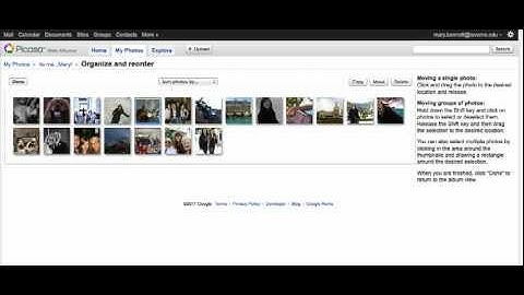 Picasa organize feature