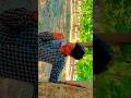 Dil ne yah kaha hai dil se 🤩😍 | Dhadkan | Akshay Kumar | Silfa Setty | #trending #hindisong #shorts