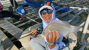 DẪN 2 NGƯỜI BẠN CAO THỦ LẦN ĐẦU ĐI CÂU CÁ TRÁP VÀ CÁI KẾT | LÊN BÈ ĂN NGON QUÁ KHÔNG MUỐN VỀ