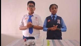 THE CELERY EXPERIMENT (ENGLISH)