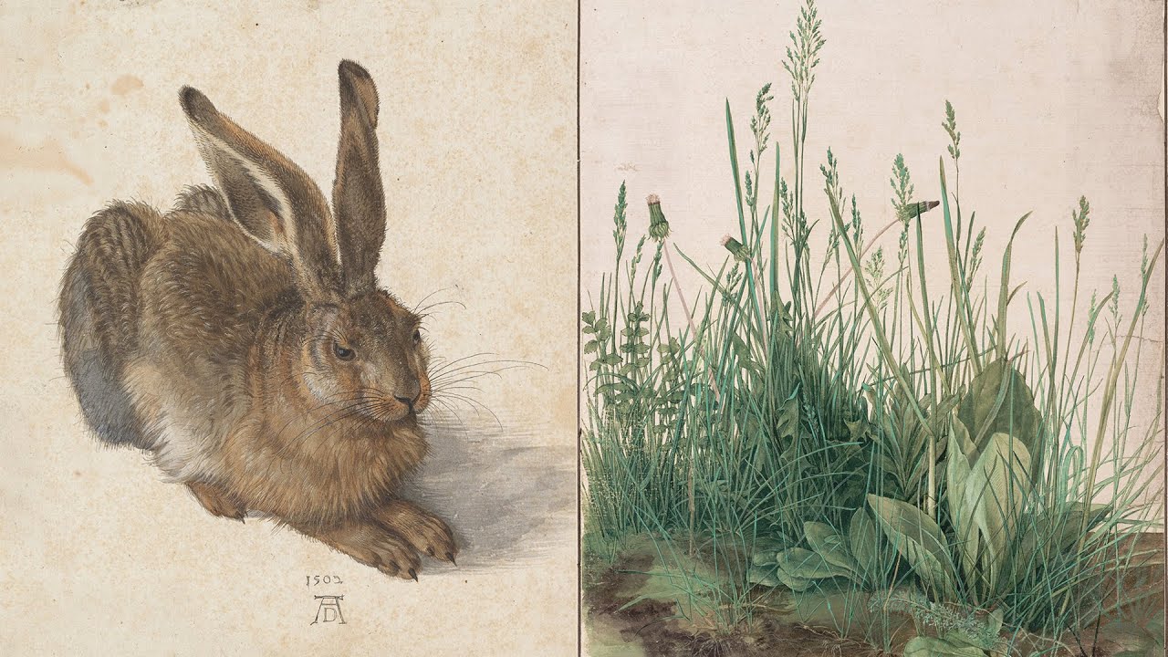 巨匠のデッサン」アルブレヒト・デューラー（Albrecht Dürer）の素描