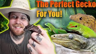 The Best Guide For Picking The Perfect Gecko For You!