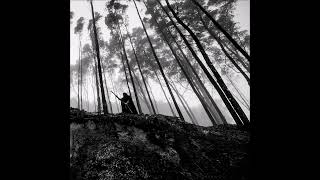 Irae - Between Ruins