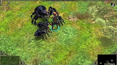 Spellforce Platinum | Soldier