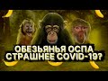 Откуда взялась обезьянья оспа и причём тут геи