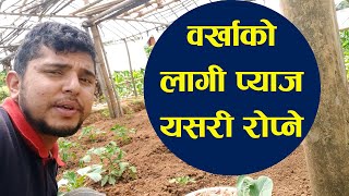 प्याजलाई बर्खा को समयमा खान मिल्नेगरी कसरी रोप्ने ? || How to Grow Onions in Rainy Season