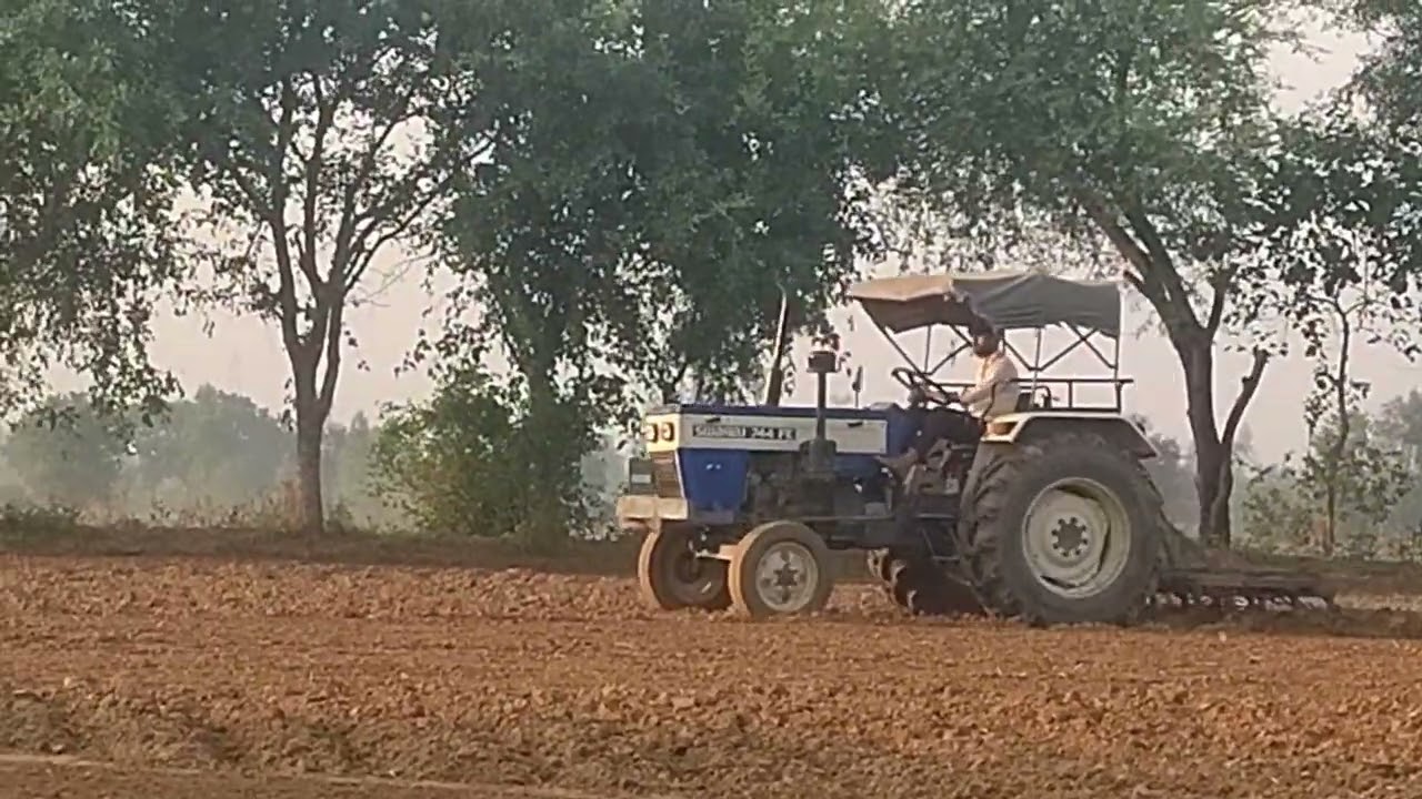 Gehu Bo Diye 🌾🌾