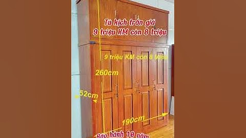 tủ quần áo chống chuột, chống nồm ẩm, chống mối tuyệt đối