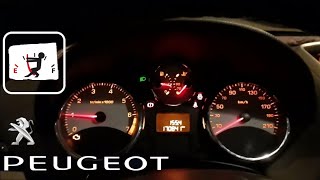 calibrage de la jauge à carburant & forçage des données de jaugeage sur une Peugeot 207 1.4VTI