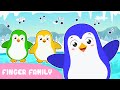 FINGER FAMILY SONG 🎵 With the colored Penguins 🐧 MUSIC FOR KIDS