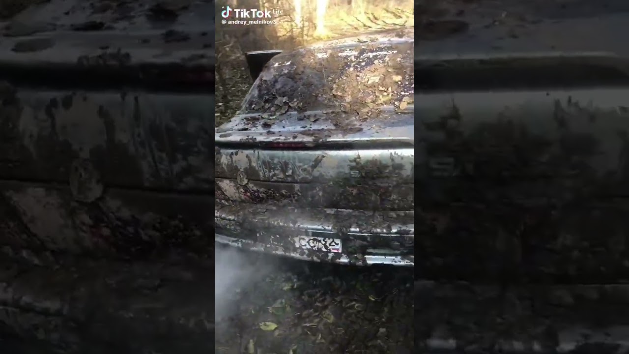 25 октября 2024 г.