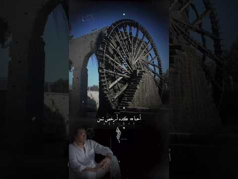 مصطفي كامل هشام الجخ احنا كده ارخص تمن ممكن نبيع     