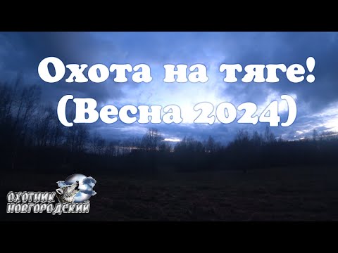 Видео: Охота на тяге!(Весна 2024)