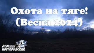 Охота на тяге!(Весна 2024)