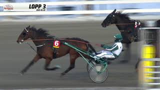 Vidéo de la course PMU PRIX SPARTRAPPA