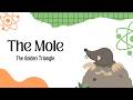 Mass Mole Particles Conversions (Part 3) | WAEC NECO JAMB Chemistry