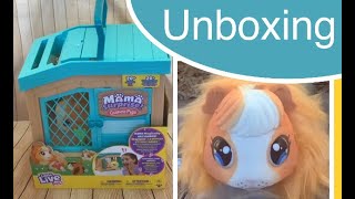 Little Live Pets Mama Surprise Guinea Pigs Review – What's Good To Do