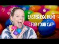 Have A Easter Egg Hunt With Your Cat