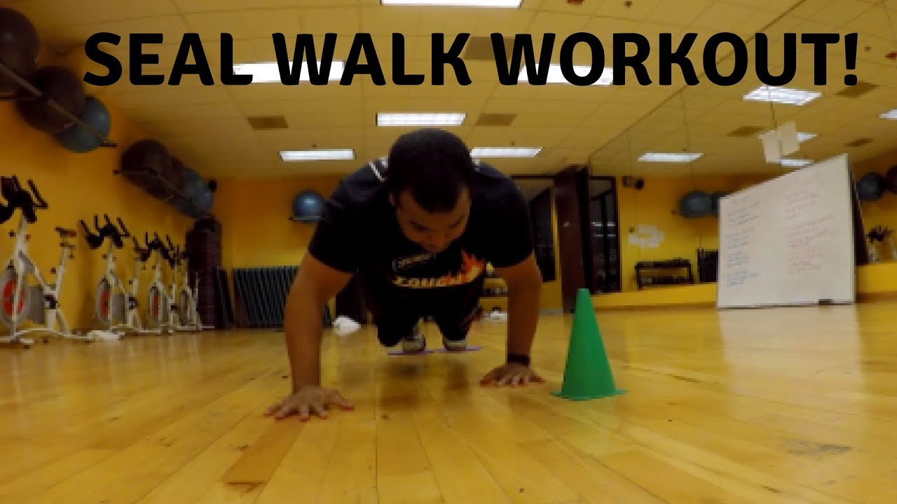 Seal Walk Workout Sled Push Sliders Workout Youtube