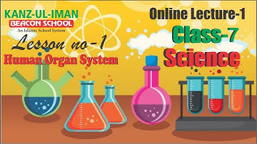 Class 7 [Science] Chapter (Human Organ System) Kanz ul Iman Beacon School