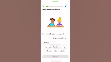 Let’s learn French with Duolingo #beginner #français #shorts section 5:adventurer